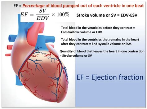 ef hjerte|Ejection fraction